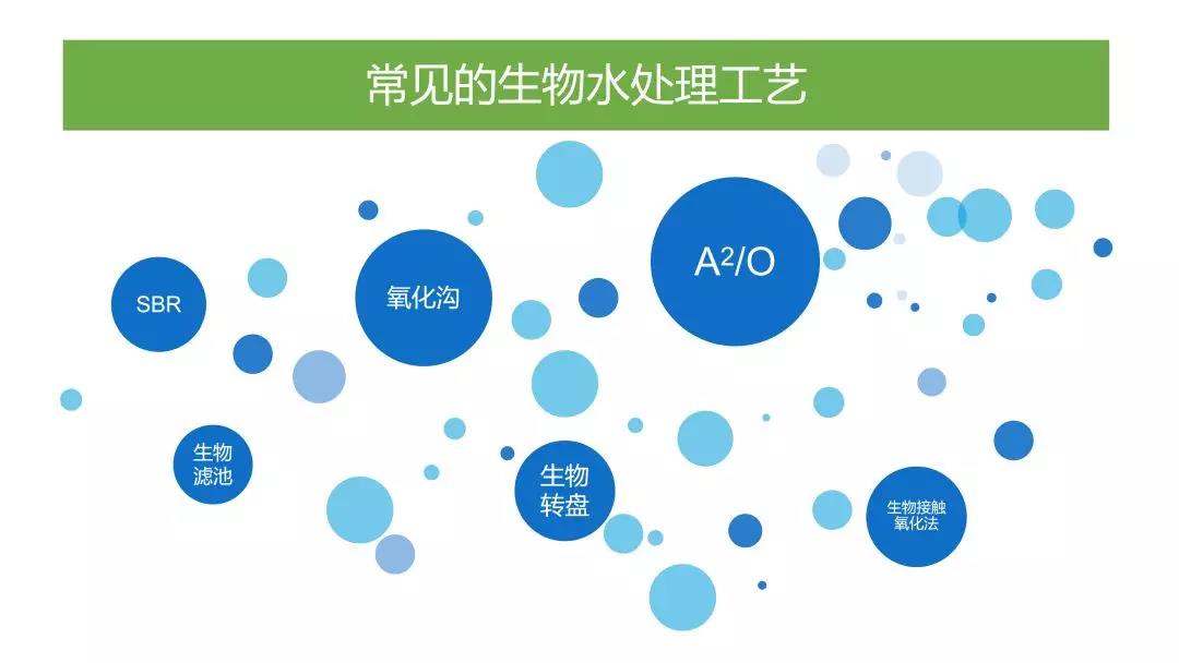 常见的生物水处理工艺